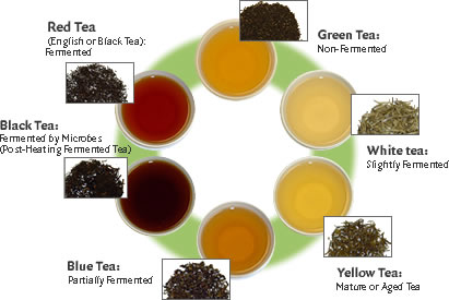 Tea Types Chart